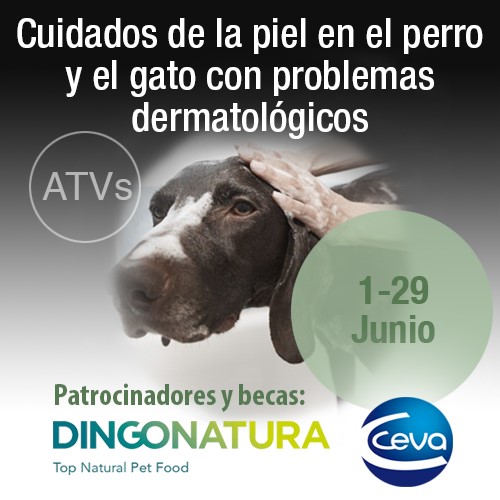 Curso ATVs Cuidado de la piel en el perro y el gato con problemas dermatológicos